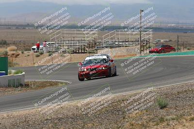 media/May-03-2025-Lucky Dog Racing (Sat) [[206de64b9d]]/Turn 4 B (1150am-130pm)/